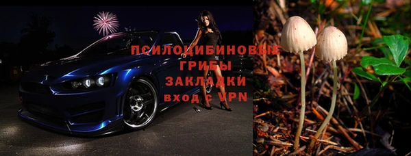 шишки Абинск