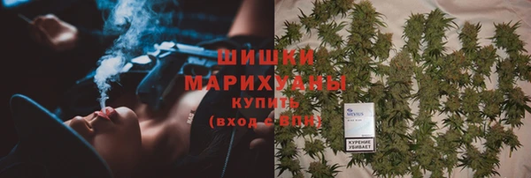 шишки Абинск