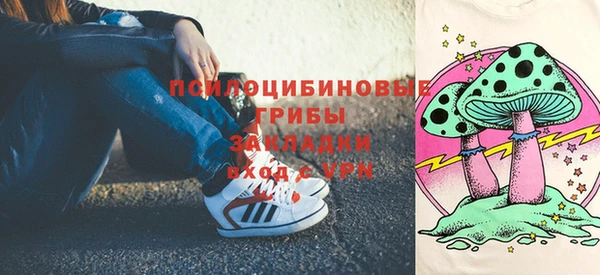 шишки Абинск