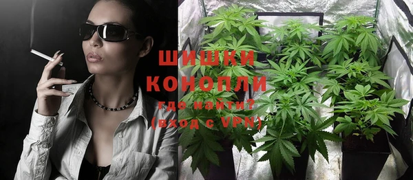 шишки Абинск