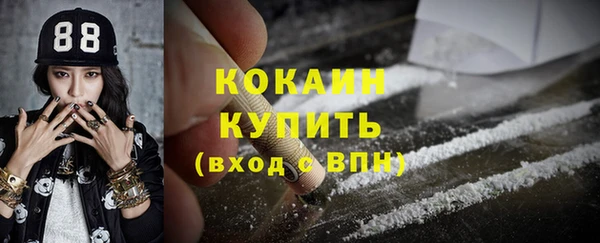 шишки Абинск