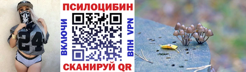 blacksprut ONION  купить наркотик  Грозный  Галлюциногенные грибы MAGIC MUSHROOMS 