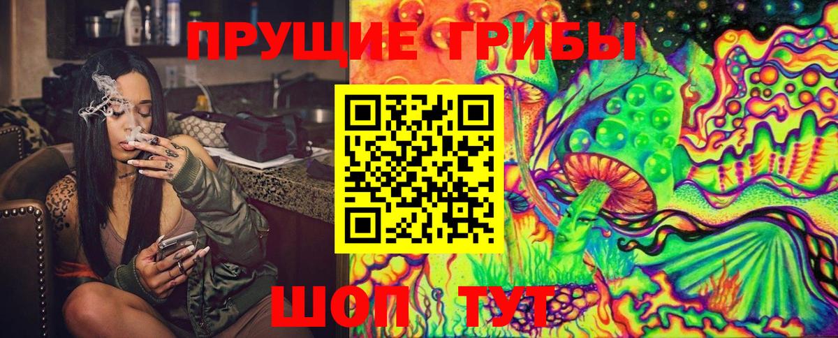 Псилоцибиновые грибы Cubensis  Вход с VPN  Грозный 